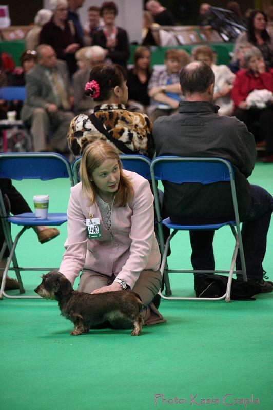 Crufts2011_2 1214.jpg